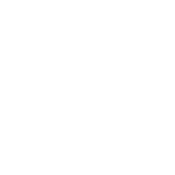 Shield icon